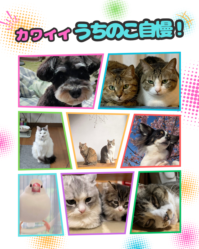 img.png
